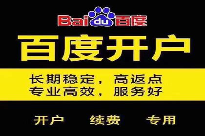 行业领先企业的SEM竞价推广策略揭秘